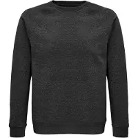 Sols Unisex Adult Space Organic Raglan Sweatshirt (Houtskool mergel)