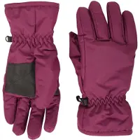 Mountain Warehouse Dames/Dames Skihandschoenen (Donkerpaars)