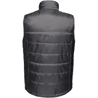 Regatta Heren Fase II Geïsoleerde Bodywarmer (Afdichting Grijs)