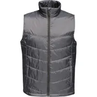 Regatta Heren Stadium Geïsoleerde Bodywarmer (Afdichting Grijs)