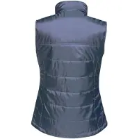 Regatta - Dames Stage II Geïsoleerde Bodywarmer (Navy)