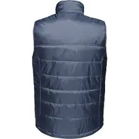 Regatta Heren Fase II Geïsoleerde Bodywarmer (Marine)