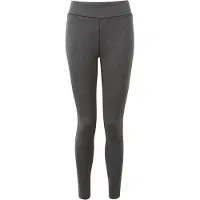 Dare 2b Dames/Dames Invloedrijke Strakke Lichtgewicht Gymlegging (Houtskool Grijs)