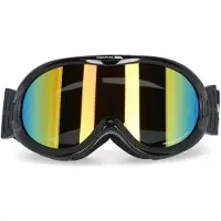 Trespass Volwassenen Unisex Vickers Dubbele Lens Sneeuwsportbril (Zwart)