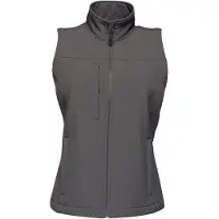 Regatta Dames/dames Flux Soft Shell Bodywarmer (Zeehond Grijs/Seal Grijs)