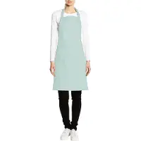Premier Dames/Dames Kleuren Bipschort Met Zak / Werkkleding (Aqua)