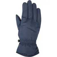 Mountain Warehouse Dames/Dames Skihandschoenen (Marine)