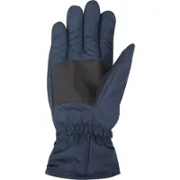 Mountain Warehouse Dames/Dames Skihandschoenen (Marine)