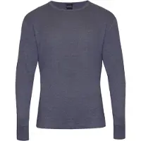 Regatta - Thermo T-Shirt met Lange Mouwen (Grijs)