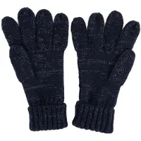 Regatta Dames/dames Winterhandschoenen (Marine)