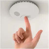 Somfy Protect Rookmelder (5 jaar)