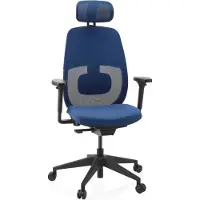 Hjh OFFICE Ergonomische bureaustoel Skandis Pro met hoofdsteun blauw / zwart frame