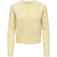 JDY Gebreid vest 'JDYApril' citroen