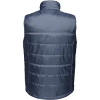 Regatta Heren Fase II Geïsoleerde Bodywarmer (Marine)