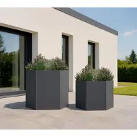 Westmann Varia verhoogde plantenbak set 2 stuks zeshoekig metaal 52 en 77 cm