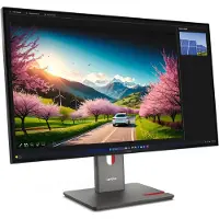 Lenovo ThinkVision P32UD-40 31,5 inch UHD Thunderbolt-beeldscherm - 64A8GAT2EU