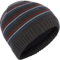 Trespass - Heren Ray Beanie (Grijs)