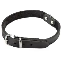 Beeztees Hondenhalsband Zwart 42 X 1,6 Cm