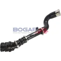 BOGAP R1711187 Laadluchtslang