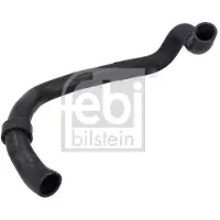 FEBI BILSTEIN 199334 Radiateurslang