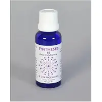 Vita Syntheses 62 gewichtsbeheersing