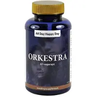 All Day Happy Day Orkestra