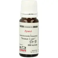 Dnh zywut 200 stuks
