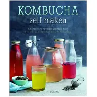 Deltas Kombucha zelf maken