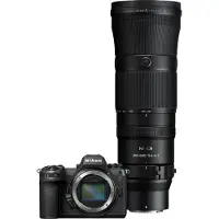 Nikon Z6 III + Nikkor Z 180-600mm f/5.6-6.3