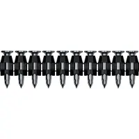 Bosch Professional Nm-19 Box + Spijkers