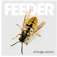 Cd All Bright Electric
