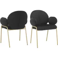 Loft 24 Iwama-Eetkamerstoel - Zwart Fluweel - Set van 2