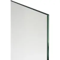 SanyOne douchewand helder glas 75 x 195 cm