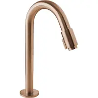 Blaufoss Ottawa verhoogde koudwaterkraan Brushed Rosegold