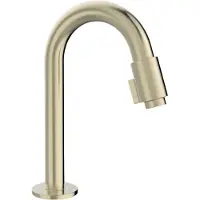 Blaufoss Ottawa standaard koudwaterkraan Brushed Champagne Gold