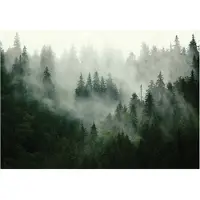 WALLARENA - Fotobehang - 350x250 cm - Fototapete van een bos in de mist voor de slaapkamer en woonkamer, vliesbehang