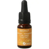 La Drome Chicoree chicory bio
