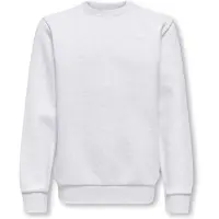 Only & Sons Junior Sweatshirt 'OSJCeres' lichtgrijs
