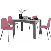 Notio Living Lynn & Luna|Set van Eettafel 120x80cm met 4 Stoelen Rose