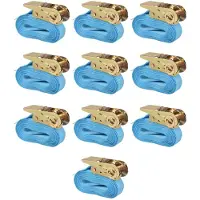 vidaXL Spanbanden 0,8 ton 4mx25mm blauw 10 st