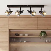 LumenXL Plafondlamp met smoke grijs glas, 4-lichts - Elsa