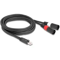 DeLOCK Adapter Cable RJ45 plug to 2 x XLR 3 pin plug black 2 m
