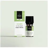 Volatile Gember CO2-TO bio