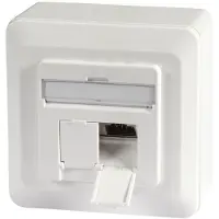 EFB Elektronik RJ45 wandcontactdoos | FTP (2 x RJ45, Cat6a, Verticaal, Opbouw)