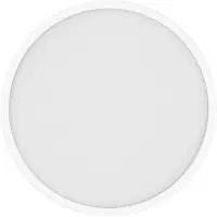 Xiaomi BHR9933GL Mi Smart LED Ceiling Light D40 Plafondopbouwarmatuur LED LED 45 W Wit