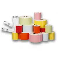 Zebra Z-Band 4000 Kits (ZBAND3) 25 mm x 279,4 mm (795 stuks)