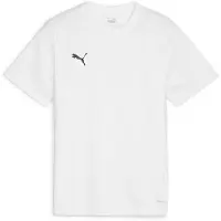 Puma teamGOAL Jersey Jr Jongens sportshirt - White-Black-Feather Gray