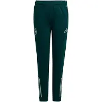 Adidas Sportbroek 'Arsenal Tiro 25 Competition' donkergroen