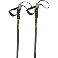 Aktive 54181 Stokken 2 Eenheden Zilver 85-135 cm
