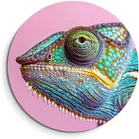 KitchenArt - Tropical Gaze - Muurcirkel Binnen - ø 100 cm - Wandcirkel - Mét Ophangsysteem - Wanddecoratie - Muurdecoratie